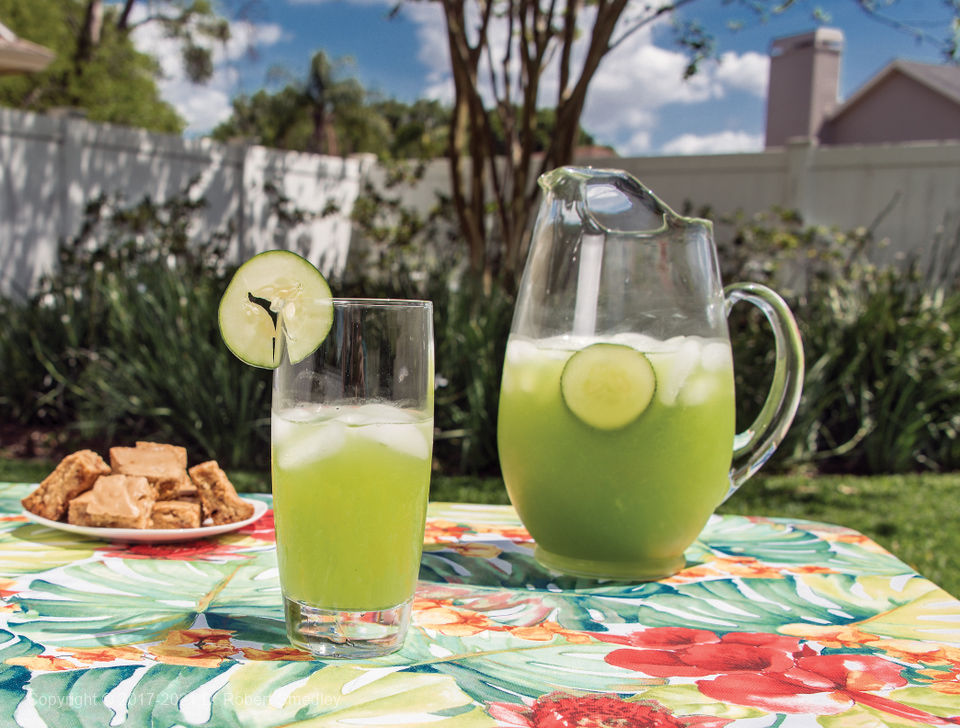 These photographs were taken and included in a cookbook prepared by the Friends of the Orlando Philharmonic Orchestra self-published in 2017 titled "Sound Bites - A Symphony of Flavors"