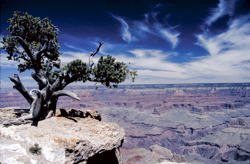 View from South Rim