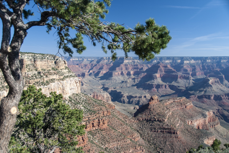 View from Bright Angel Lodge