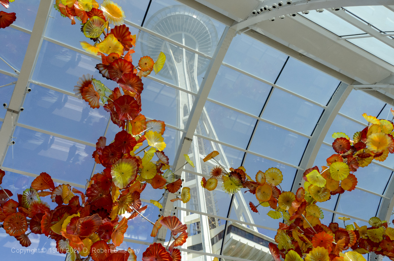 Chihuly Gardens with the Space Needle in the background.  All of the colored pieces are blown glass.